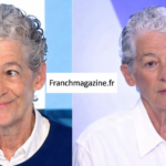 Marie Jégo Wikipédia biographie complète carrière journalistique analyses internationales et parcours professionnel détaillé